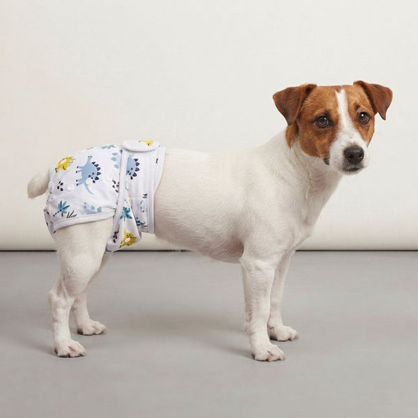 Couche pour chien incontinent lavable | femelle réutilisable
