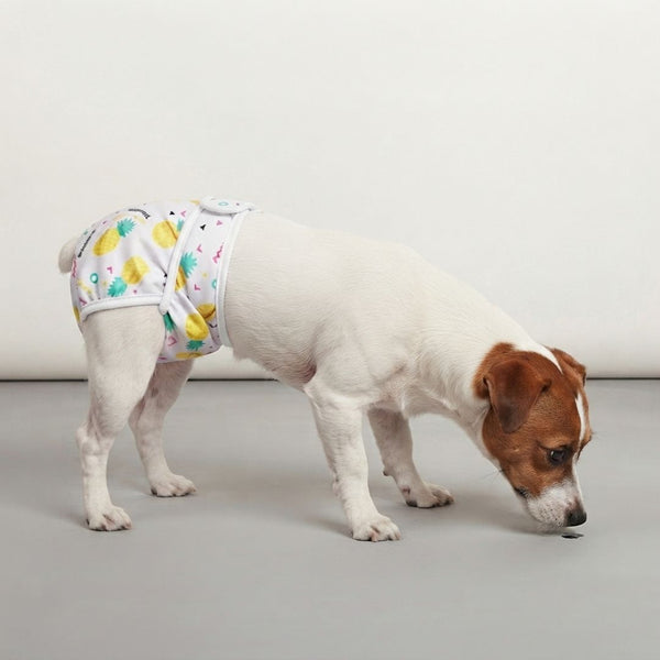 Couche lavable chien motif ananas - collection colorée