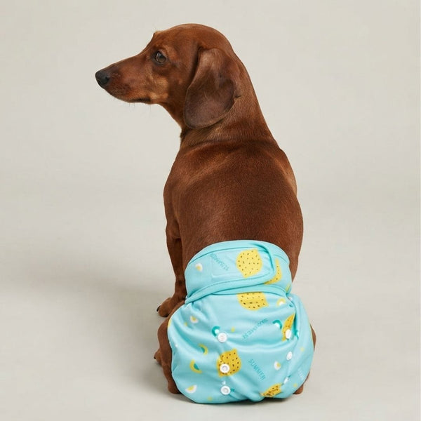 Couche lavable chien motif citron - tailles XS à XL