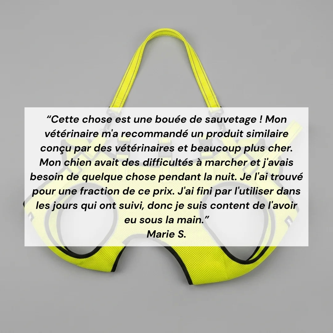 Harnais de soutien chien senior réglable - Aide à la mobilité