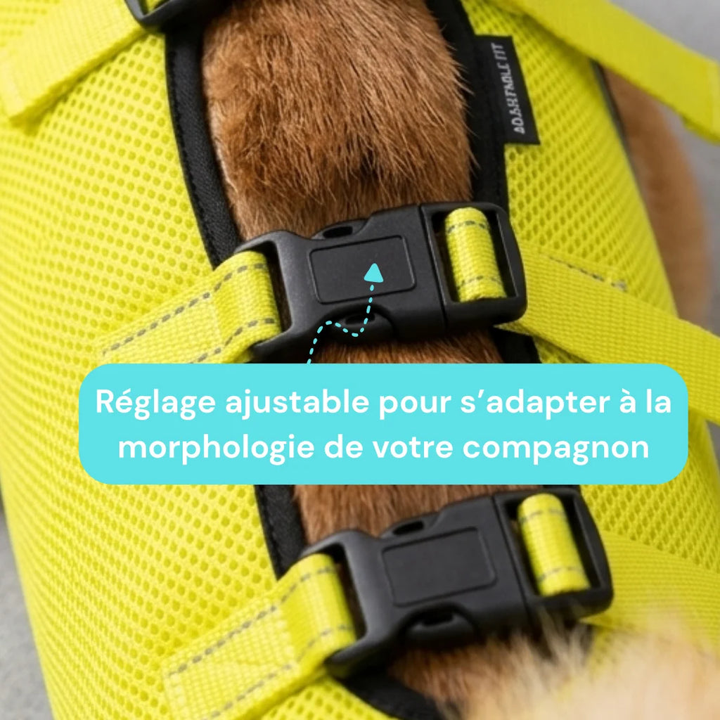 Harnais de soutien chien senior réglable - Aide à la mobilité