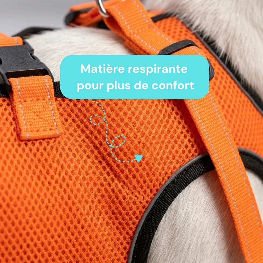 Harnais de soutien chien senior réglable - Aide à la mobilité