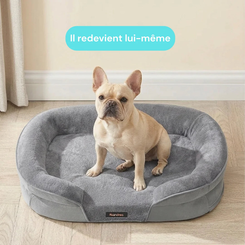 Lit orthopedique chien