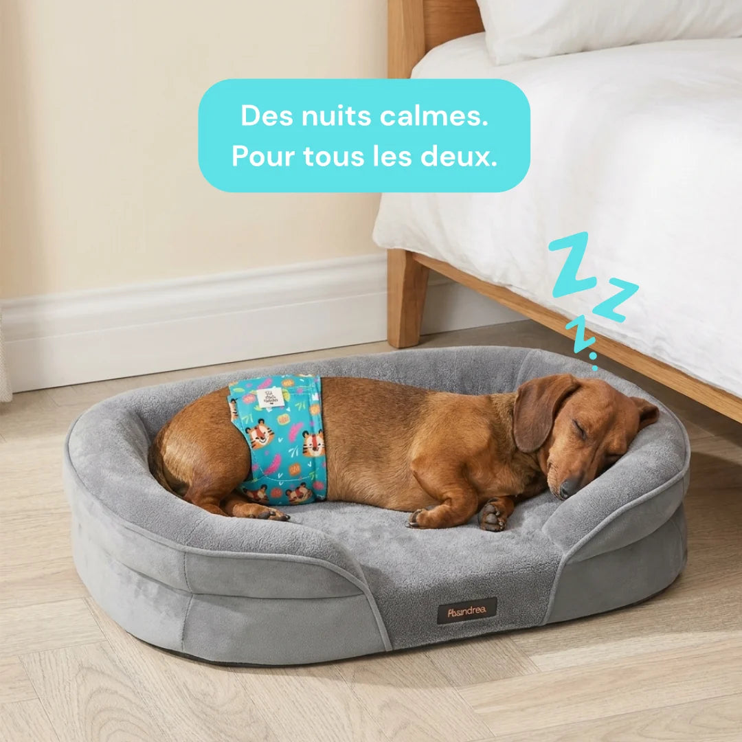 Lit orthopedique chien