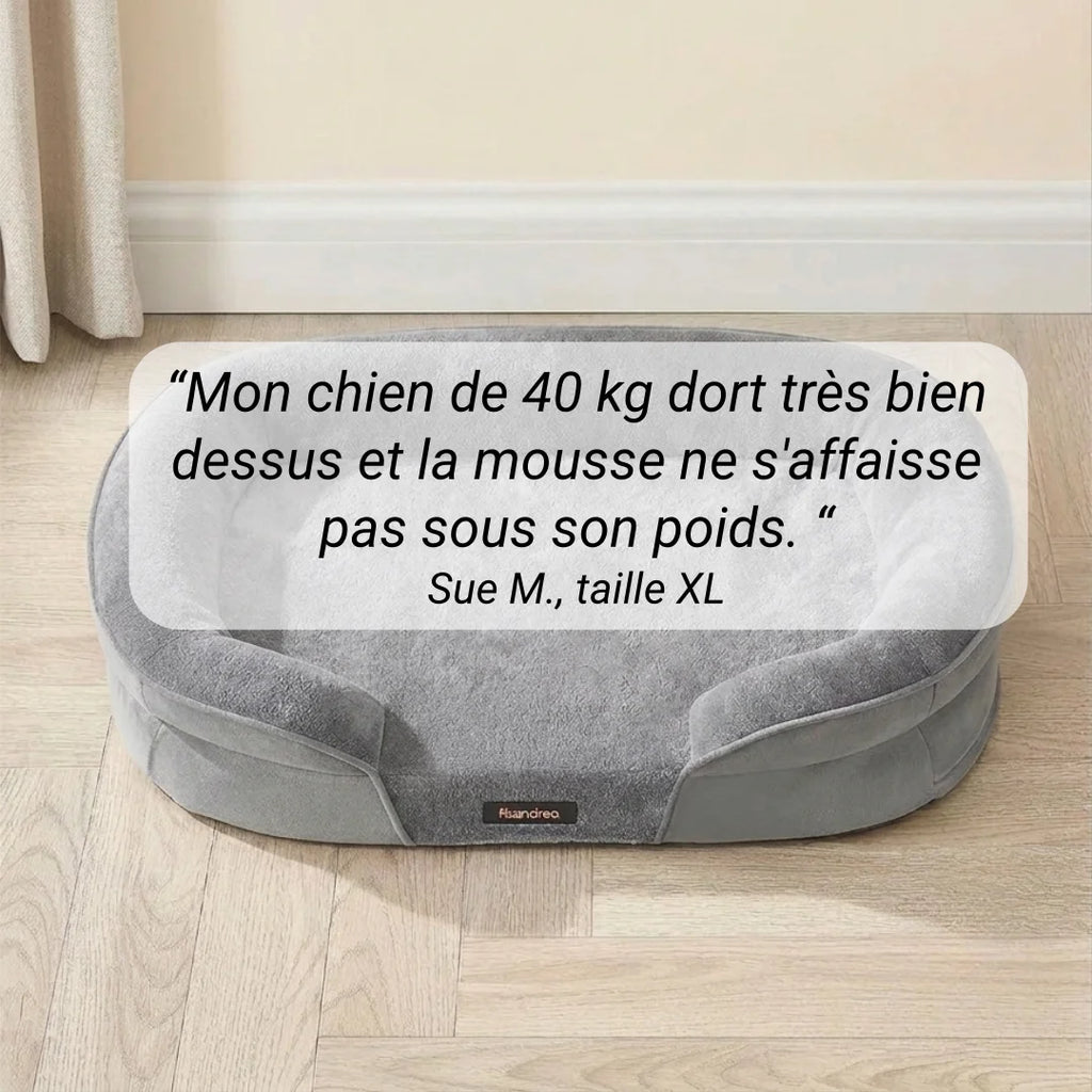Lit orthopedique chien