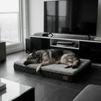 Panier chien XL orthopédique gris