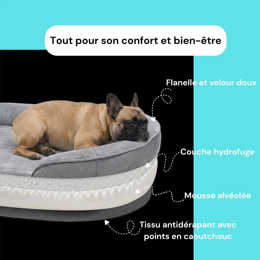 Lit orthopedique chien