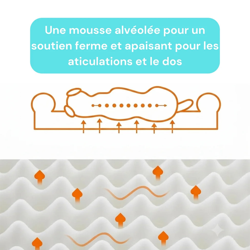 Lit orthopedique chien