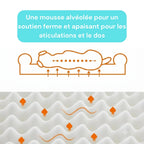 Lit orthopedique chien