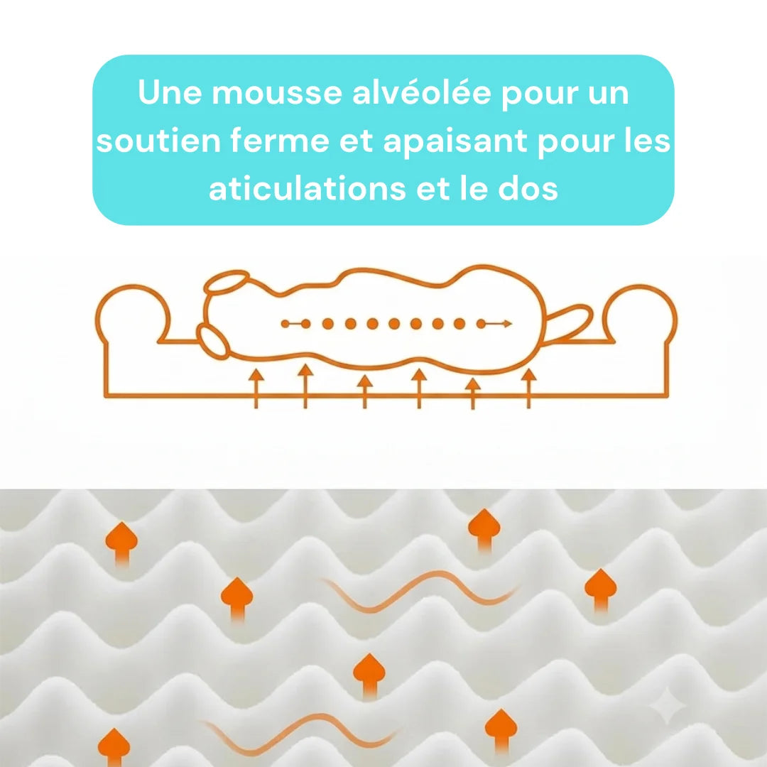 Lit orthopedique chien