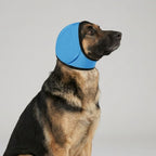 Protège-oreilles pour chien qui tremble  Réduction Bruit