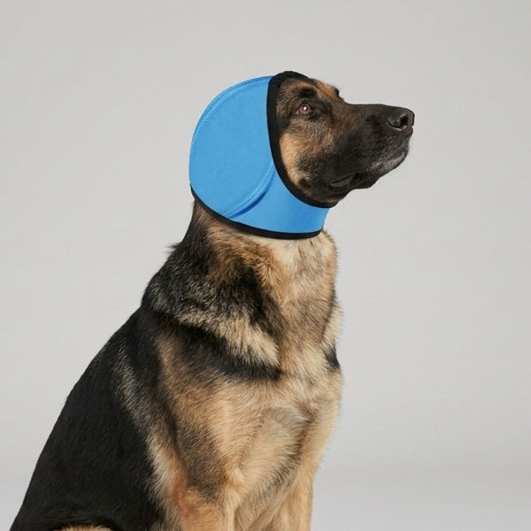 Protège-oreilles chien anxieux - couleur bleu
