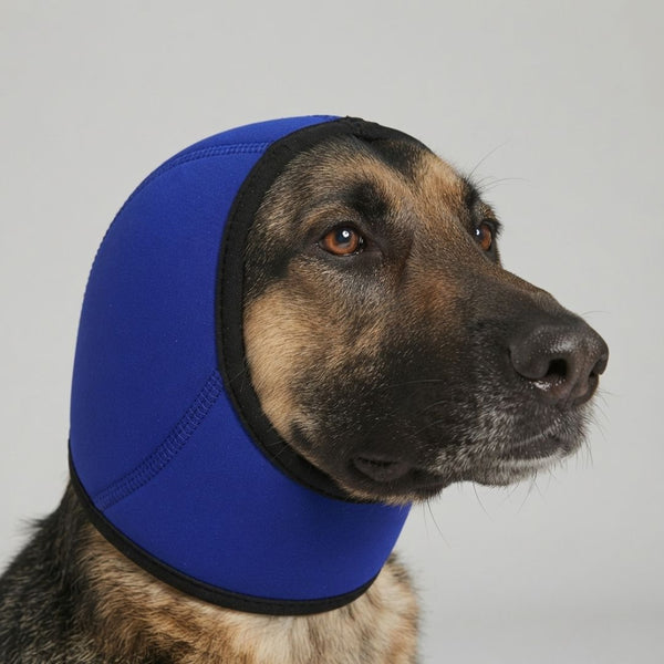 Protège-oreilles chien - couleur bleu électrique