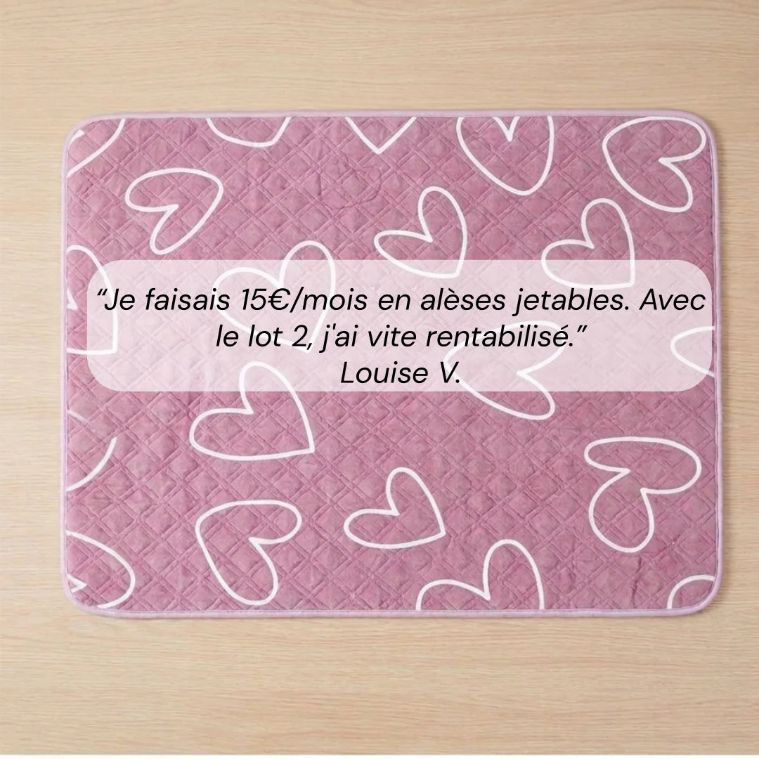 Tapis incontinence chien lavable XXL - lot de 2