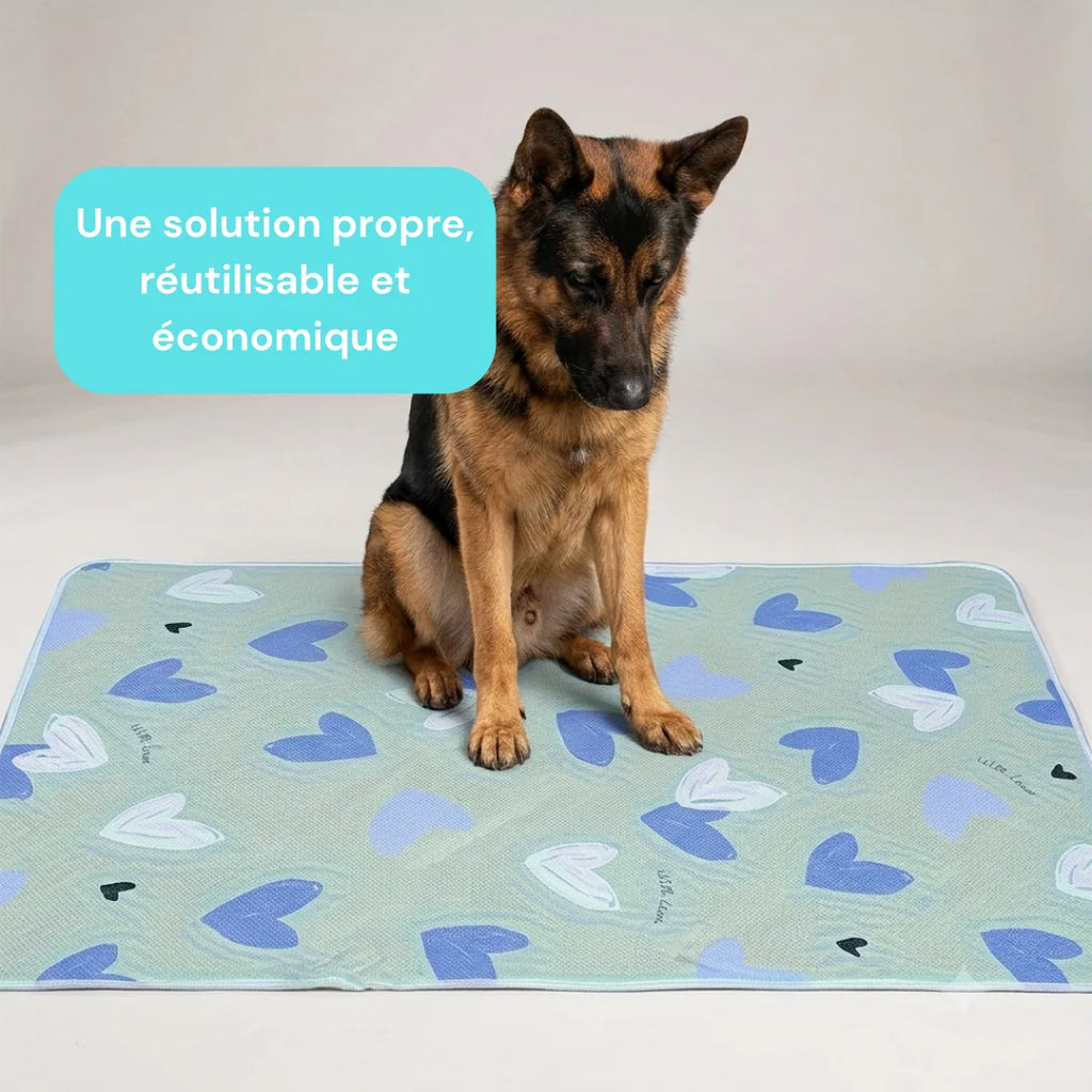 Tapis incontinence chien lavable XXL - lot de 2
