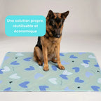 Tapis incontinence chien lavable XXL - lot de 2