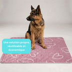 Tapis pipi chien lavable