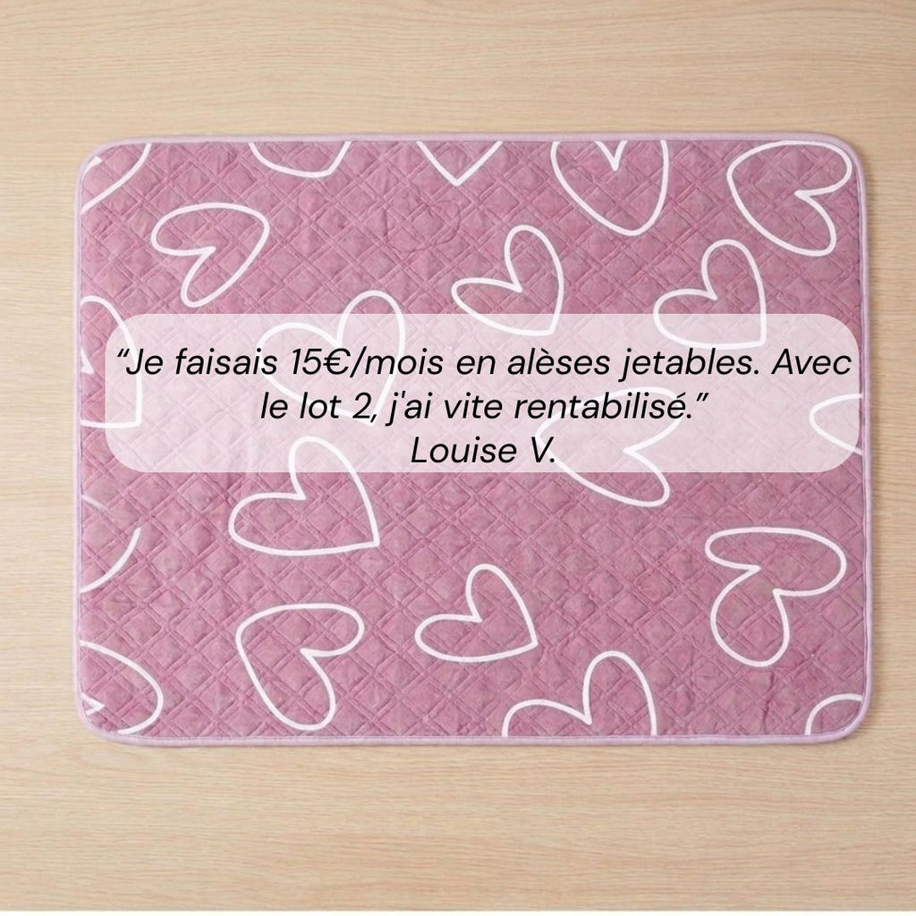 Tapis absorbant chien réutilisable antidérapant - Lot de 2
