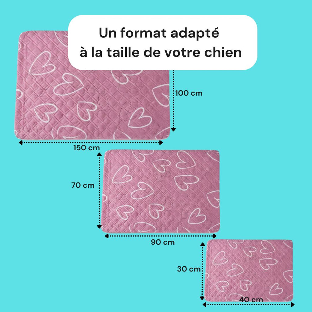 Tapis absorbant chien réutilisable antidérapant - Lot de 2