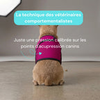 Veste anti stress chien - Gilet calmant tonnerre et stress