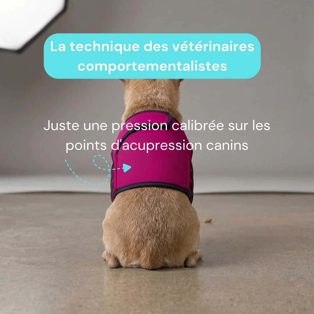 Veste anti stress chien - Gilet calmant tonnerre et stress