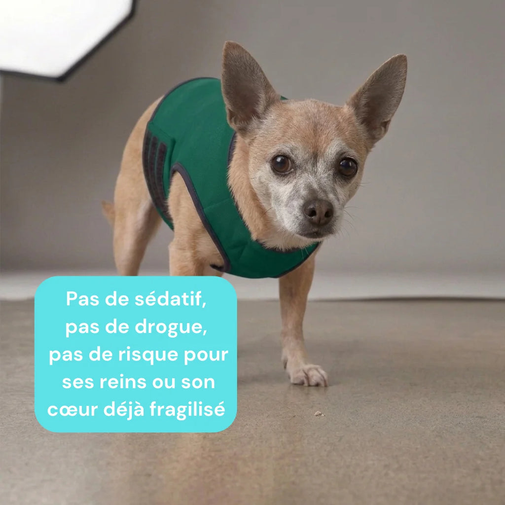 Veste anti stress chien - Gilet calmant tonnerre et stress