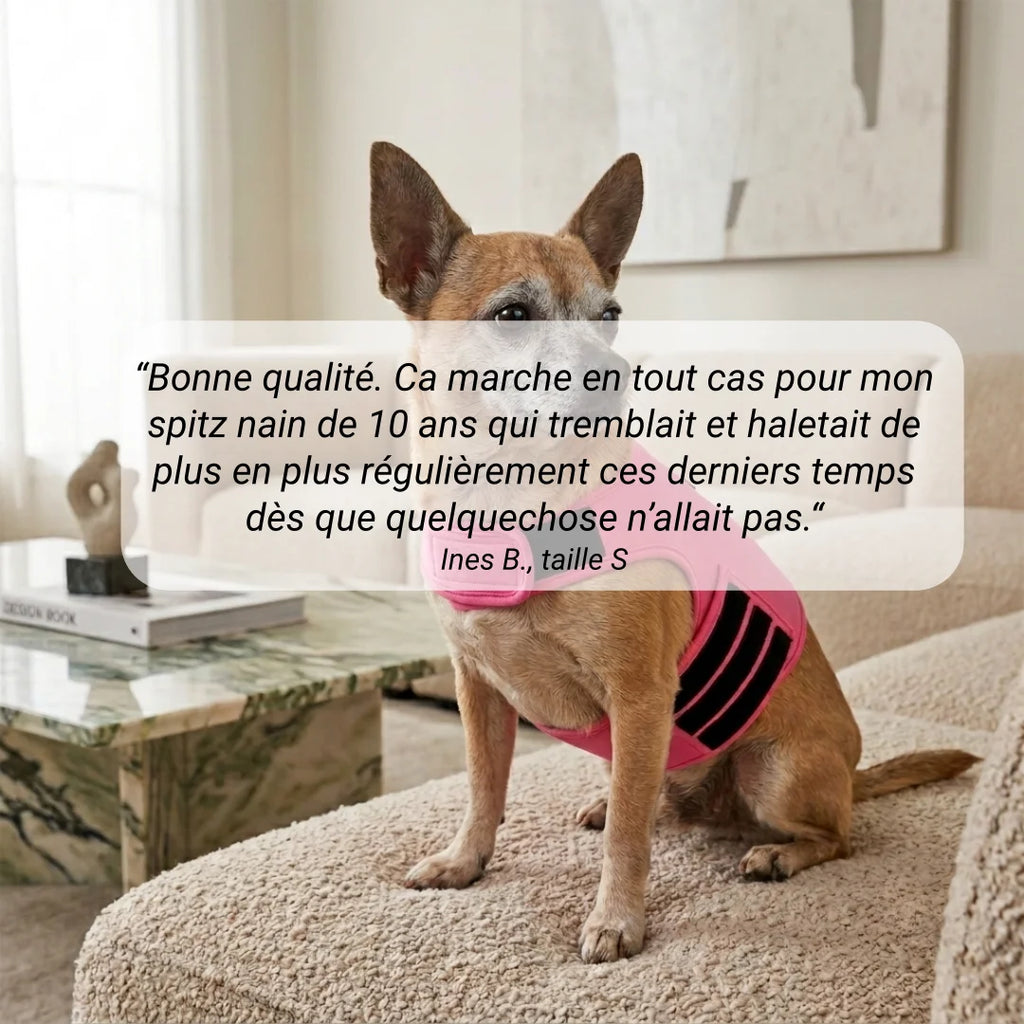 Veste anti stress chien - Gilet calmant tonnerre et stress