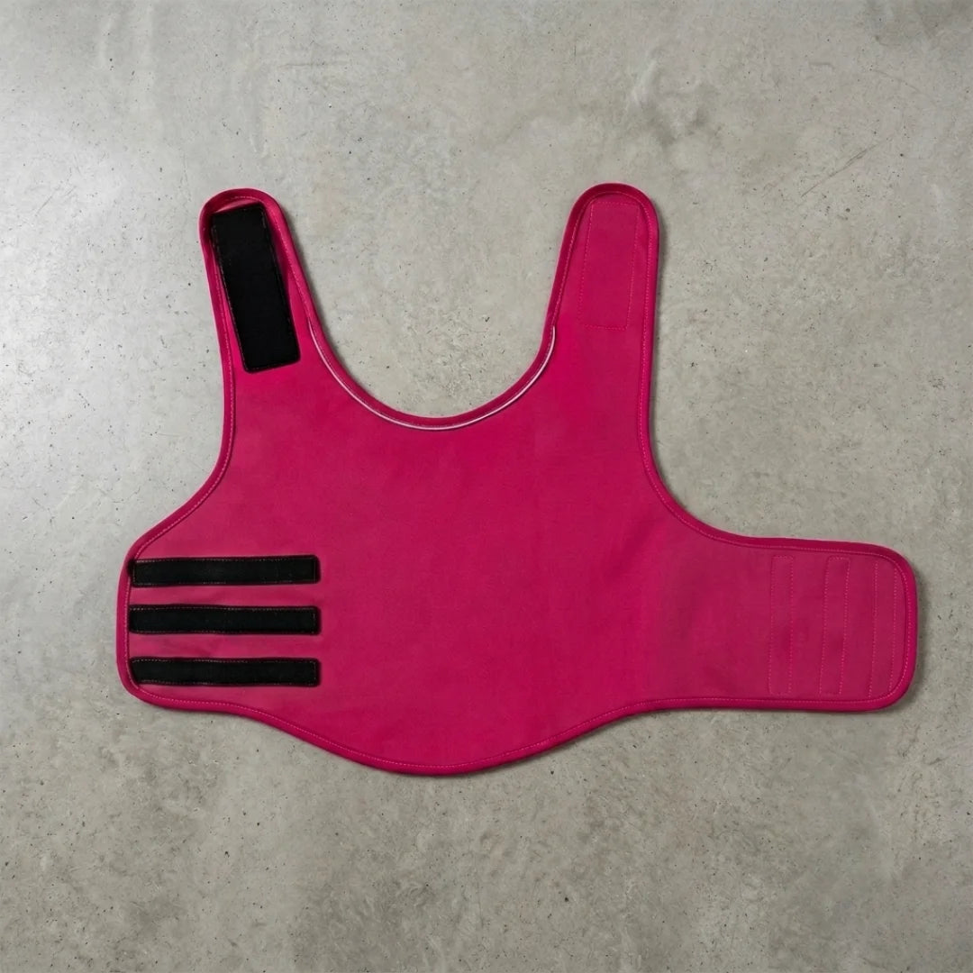 Veste anti stress chien - Gilet calmant tonnerre et stress